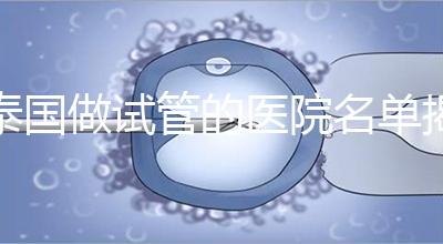 泰國做試管的醫(yī)院名單揭曉，一覽頂尖機構(gòu)，輕松幫你選擇！