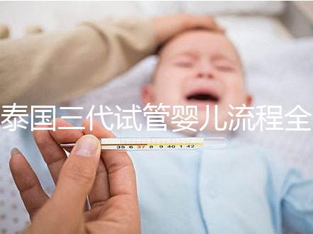 泰國三代試管嬰兒流程全解析：2025年最新步驟詳解、時間規劃與科學備孕指南