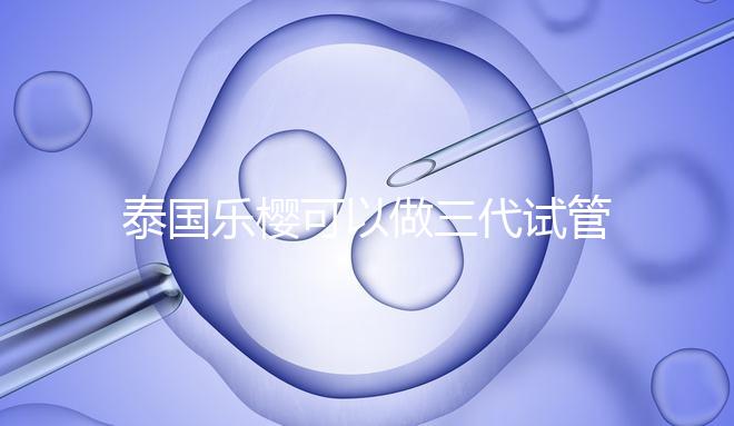 泰國樂櫻可以做三代試管嬰兒嗎？能否胚胎轉(zhuǎn)運