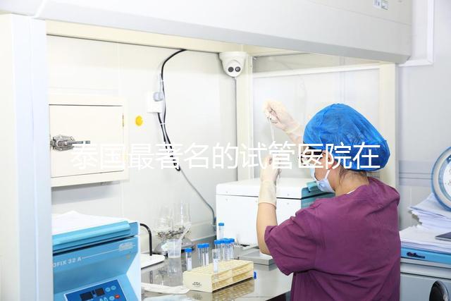 泰國最著名的試管醫(yī)院在哪里最好？推薦助孕機構名單