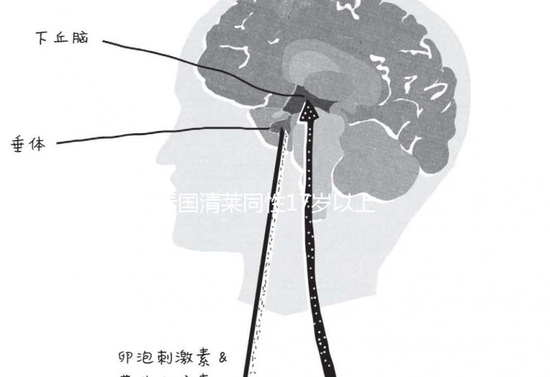 泰國(guó)清萊同性17歲以上便能結(jié)婚，在國(guó)內(nèi)承不承認(rèn)進(jìn)來看