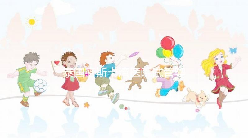 泰國密斯卡灣醫院試管嬰兒價格指南附項目及費用明細!