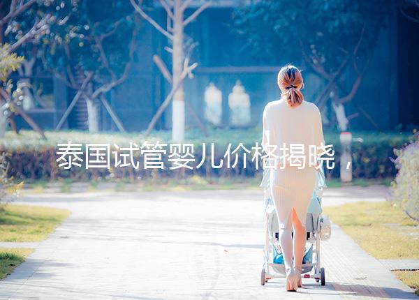 泰國(guó)試管嬰兒價(jià)格揭曉,來(lái)看看需要準(zhǔn)備多少錢(qián)