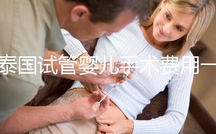 泰國(guó)試管嬰兒手術(shù)費(fèi)用一覽,2025年價(jià)格行情