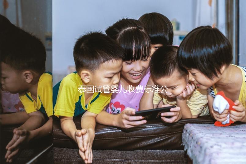 泰國(guó)試管嬰兒收費(fèi)標(biāo)準(zhǔn)公布，藥品費(fèi)用占大多數(shù)