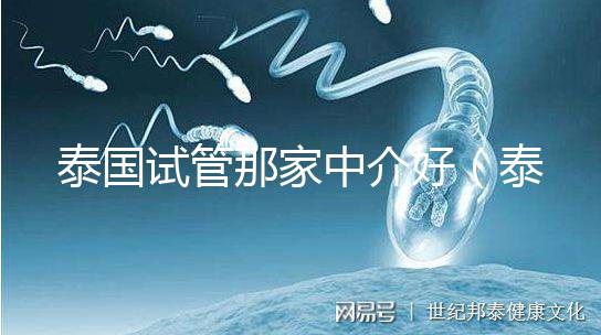 泰國(guó)試管那家中介好(泰國(guó)試管哪家中介好)
