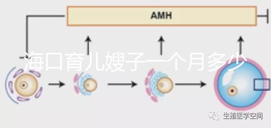 ?？谟齼荷┳右粋€月多少錢，哪個好答案總結，新手父母必須看
