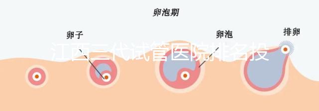 江西三代試管醫院排名投票截止！附前三位成功率和費用詳解