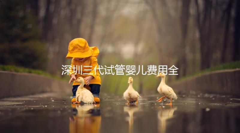 深圳三代試管嬰兒費(fèi)用全揭秘,助你輕松掌握預(yù)算!
