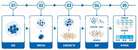 安徽地中海貧血多不多戳，合肥比例低也要早發(fā)現(xiàn)早治療