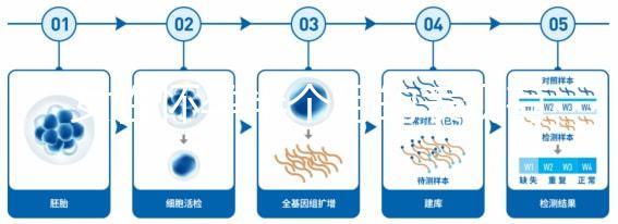 女性懷孕半個月的表現有哪些