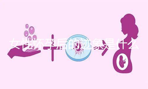 女性懷孕后的跡象是什么？