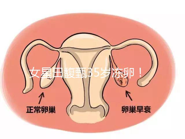 女星田馥甄35歲凍卵！揭秘你不知道的明星凍卵過程