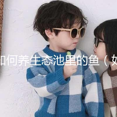 如何養(yǎng)生態(tài)池里的魚(yú)(如何養(yǎng)生態(tài)池里的魚(yú)視頻)