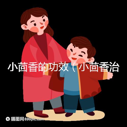 小茴香的功效(小茴香治什么病最好)