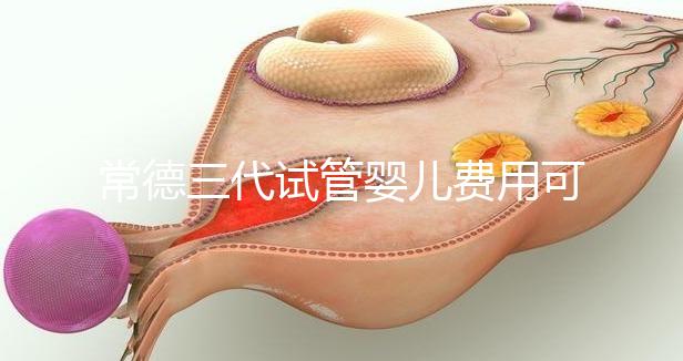 常德三代試管嬰兒費(fèi)用可以報(bào)銷嗎?內(nèi)附試管費(fèi)用明細(xì)