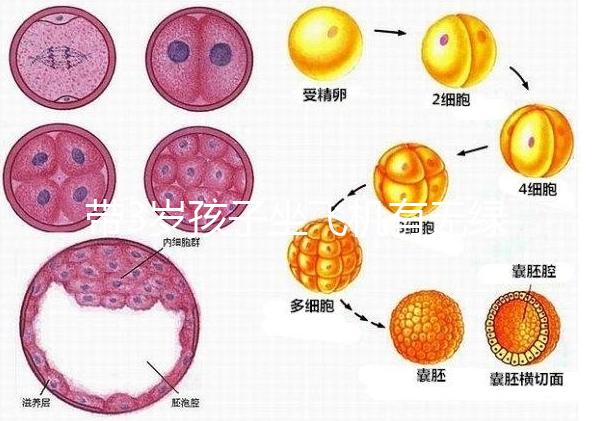 帶3歲孩子坐飛機有無綠色通道答案揭曉，提前申請免排隊