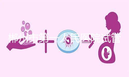 郴州市第一人民醫院試管怎么樣,從助孕成功率可窺探一二