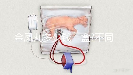 金鳳丸多少錢一盒?不同品牌金鳳丸價(jià)格對(duì)比