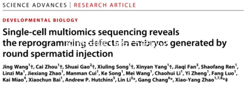 阿嬌自曝35歲已完成冷凍卵子，為何明星都選擇凍卵？