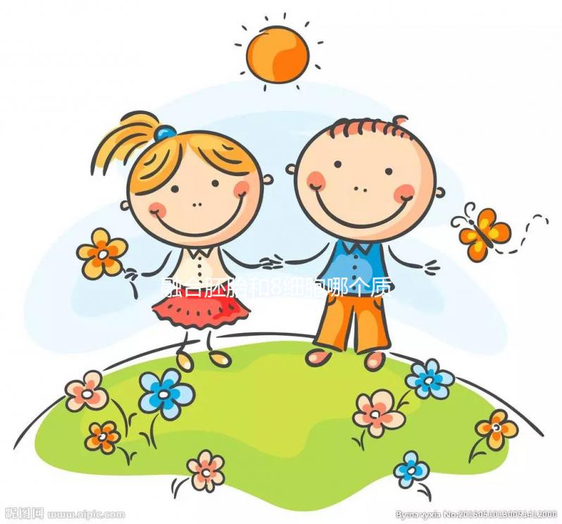 融合胚胎和8細胞哪個質量好大揭秘,二者區(qū)別看完就懂