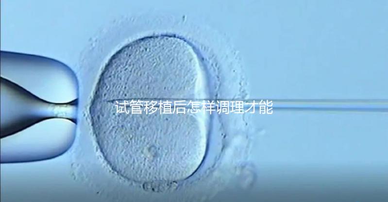 試管移植后怎樣調(diào)理才能增加胚胎著床的幾率?