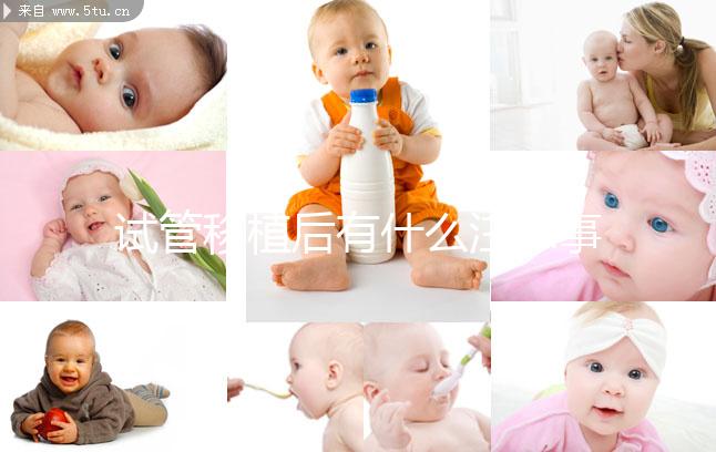 試管移植后有什么注意事項?