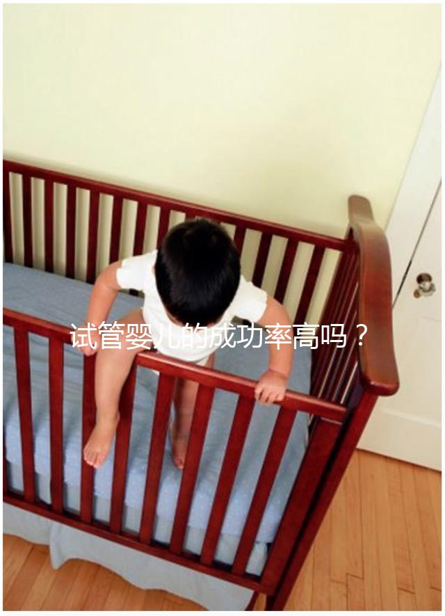 試管嬰兒的成功率高嗎?卵泡質量或為關鍵因素