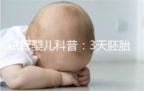 試管嬰兒科普：3天胚胎和5天囊胚，哪個移植成功率更高