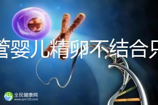 試管嬰兒精卵不結合只是基因問題？這幾大原因告知真相