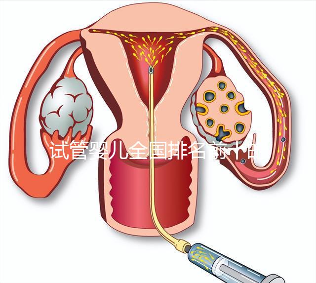 試管嬰兒全國排名前十的醫(yī)院:2024年最新試管嬰兒全國排名前十的醫(yī)院新鮮出爐