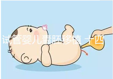 試管嬰兒囊胚移植 十四天血值變化解讀,附血值對(duì)照表可收藏