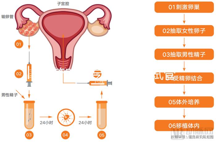 試管嬰兒專家醫(yī)院(試管嬰兒專家醫(yī)院排名)