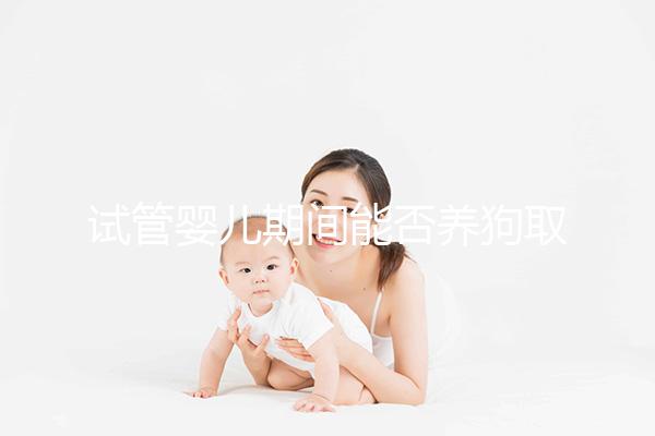 試管嬰兒期間能否養狗取決于情況，醫生：確保安全是前提