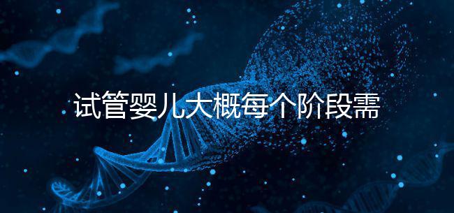 試管嬰兒大概每個階段需要花到多少錢呢？