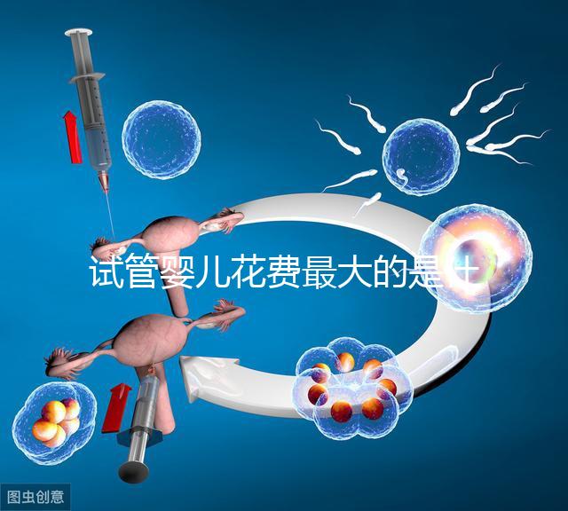 試管嬰兒花費最大的是什么？