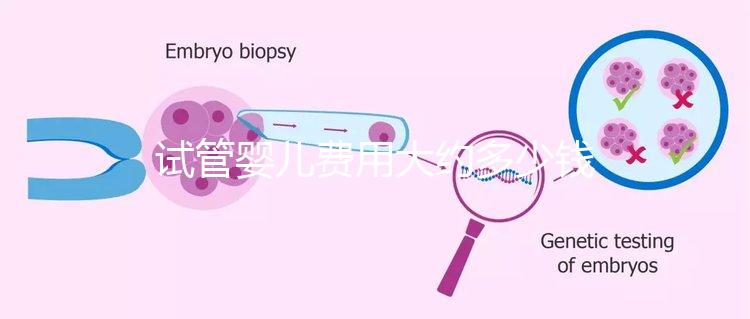 試管嬰兒費(fèi)用大約多少錢（泰國試管嬰兒費(fèi)用大約多少錢）