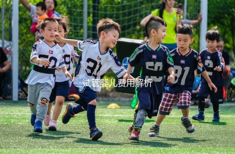 試管嬰兒費用解析