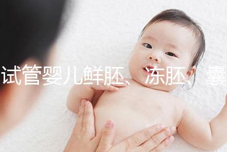 試管嬰兒鮮胚、凍胚、囊胚移植區別，看完秒懂怎么選