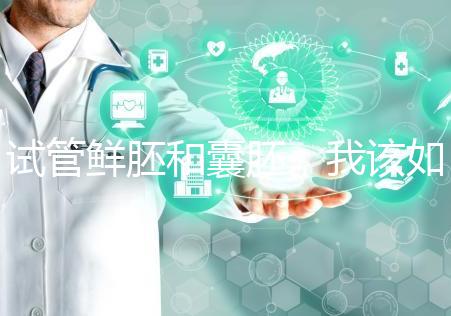 試管鮮胚和囊胚，我該如何選？