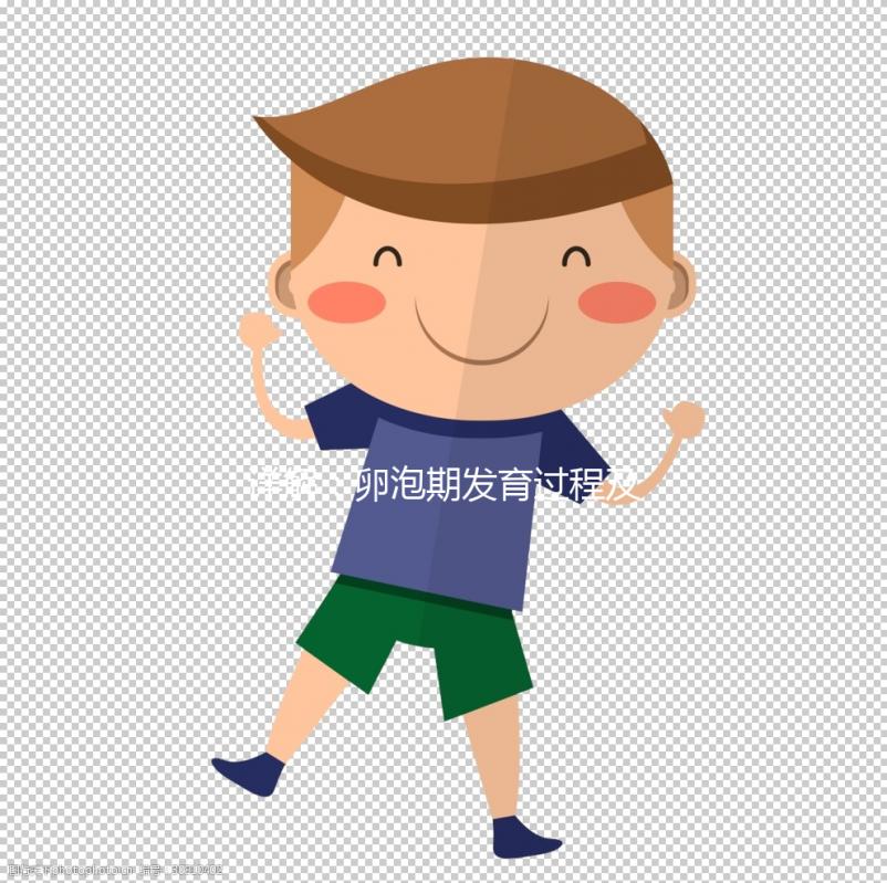 詳解:卵泡期發(fā)育過程及3個(gè)常見問題