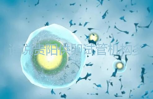 誰(shuí)說(shuō)貴陽(yáng)供卵試管機(jī)構(gòu)多給錢(qián)就不用排隊(duì),醫(yī)生:不亂收費(fèi)