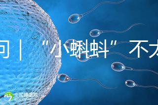 追問(wèn)|“小蝌蚪”不太給力,一代二代試管嬰兒技術(shù)哪個(gè)強(qiáng)?