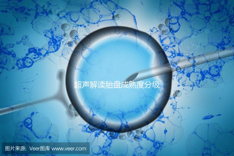 超聲解讀胎盤成熟度分級標準，二級到三級時間真說不準