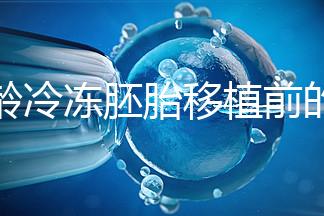 高齡冷凍胚胎移植前的注意事項和禁忌可以清楚地分類嗎？