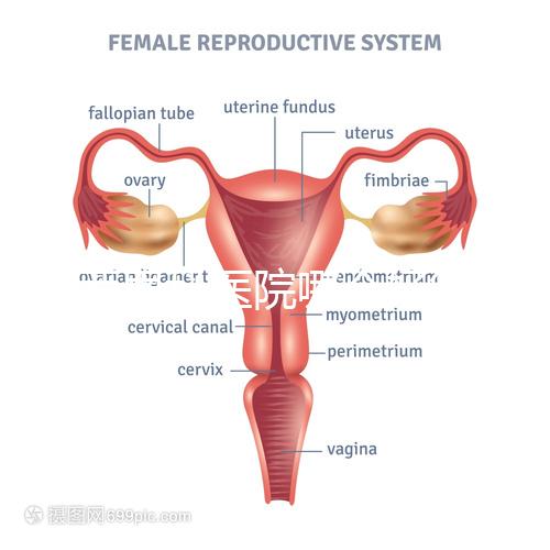 雞西男科醫(yī)院哪個(gè)好答案在這里？公立和私立各有優(yōu)勢