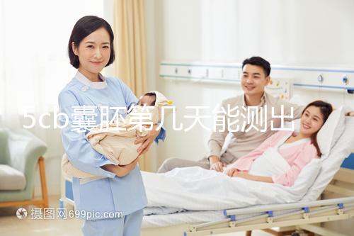 5cb囊胚第幾天能測出看移植成功后續(xù)發(fā)育怎么樣,不懂戳