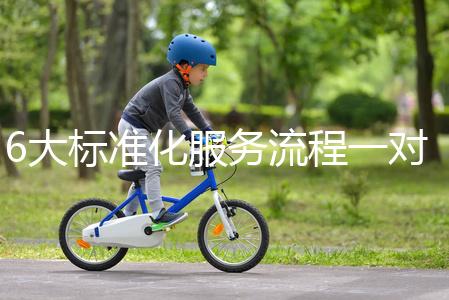 6大標(biāo)準(zhǔn)化服務(wù)流程一對(duì)一貼心服務(wù),全程中文陪同