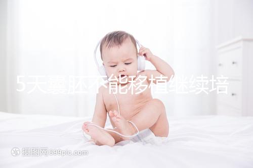 5天囊胚不能移植繼續(xù)培養(yǎng)？美國試管專家為您解析！