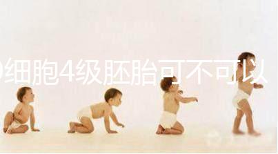 9細胞4級胚胎可不可以移植,看完質量差不差再下定論